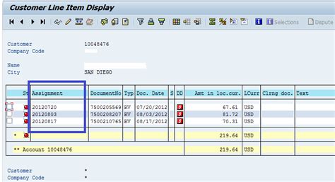 what is line item in sap|how to display customer line in sap.